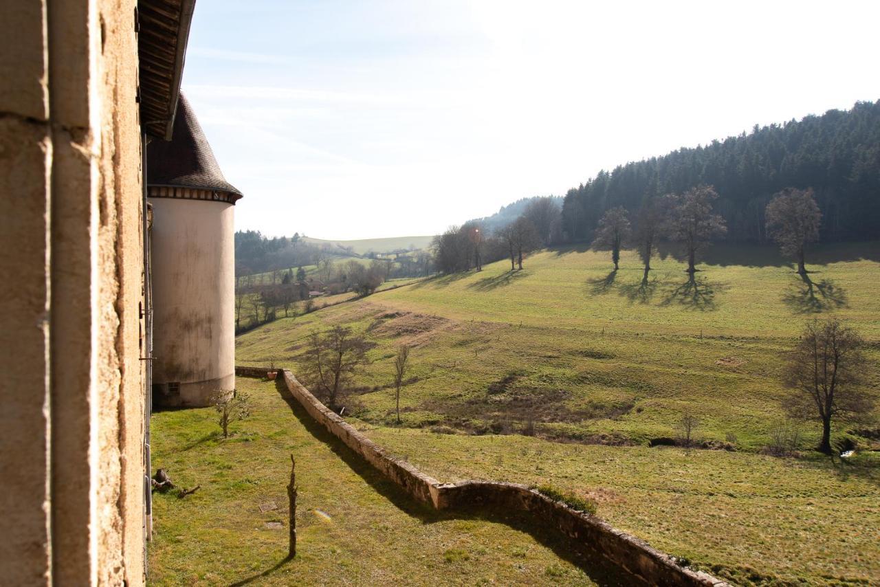 Chateau De Pramenoux Lamure-sur-Azergues Екстериор снимка