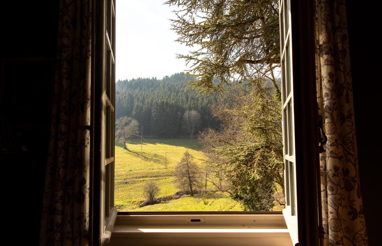Chateau De Pramenoux Lamure-sur-Azergues Екстериор снимка